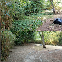 O&L Landscape & Maintenance, LLC - Photo 4 - Car repair in , Everett