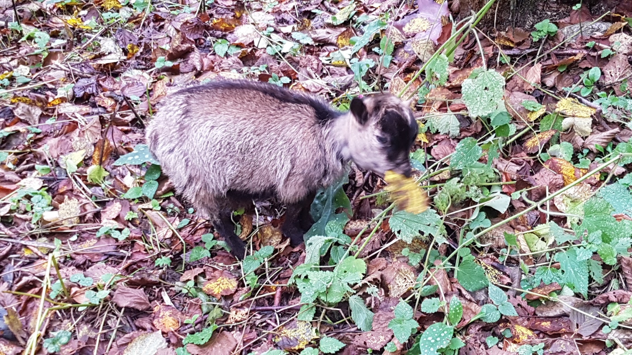 Photo n° 3 de l'avis de Nelly.a fait le 10/12/2019 à 06:52