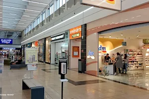 Shopping Center Gecko image
