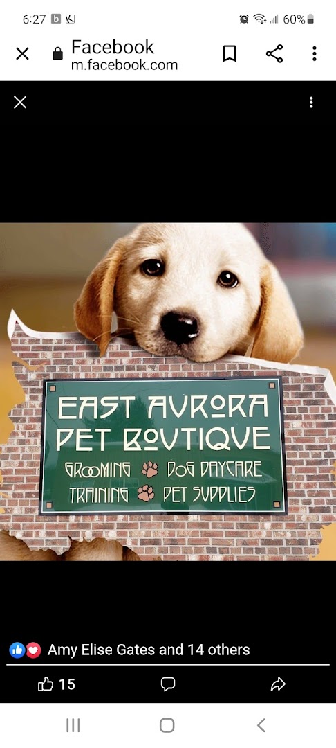 East Aurora Pet Boutique