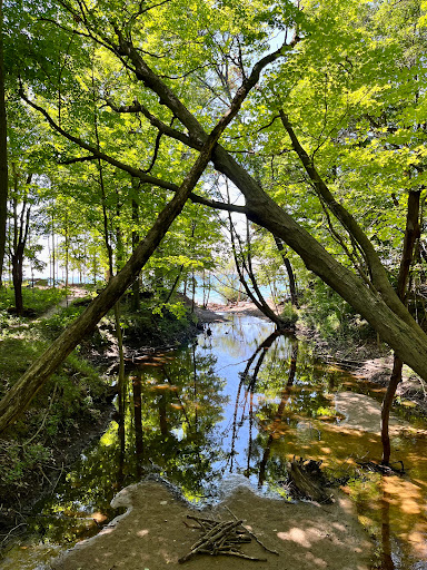 Used Book Store «Black River Books», reviews and photos, 330 Kalamazoo St # 2, South Haven, MI 49090, USA