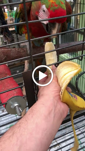 Plant Nursery «Potomac Petals and Plants», reviews and photos, 9545 River Rd, Rockville, MD 20854, USA