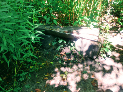 Nature Preserve «Scio Woods Preserve», reviews and photos, Scio Church Rd, Ann Arbor, MI 48103, USA