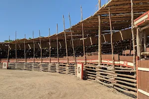 Feria Villa de Álvarez image