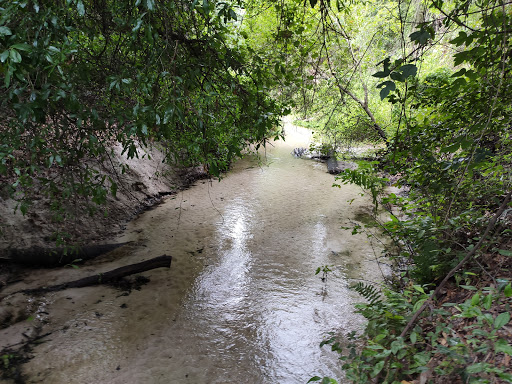 Nature Preserve «Rye Preserve», reviews and photos, 905 Rye Wilderness Trail, Parrish, FL 34219, USA