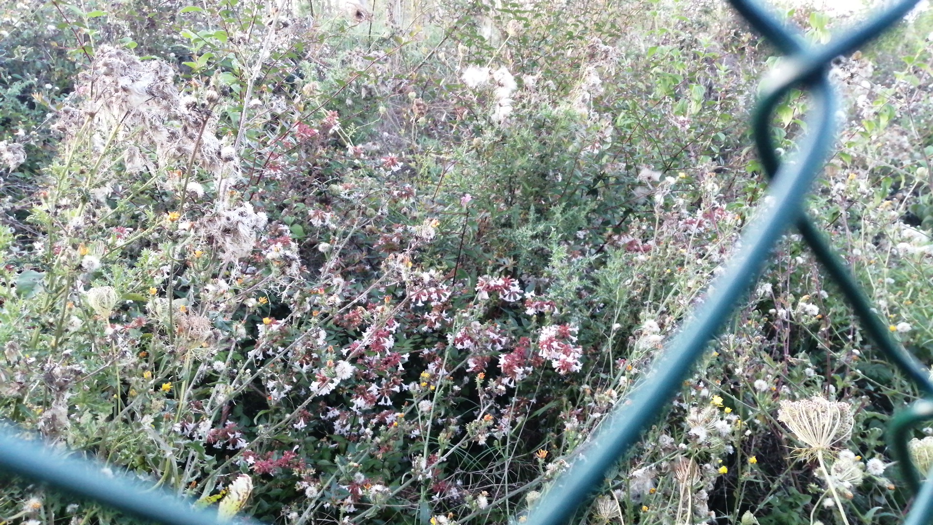 Photo n° 4 de l'avis de jean.a fait le 08/09/2023 à 18:02