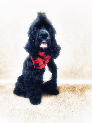 1413 TX-173, Bandera, TX 78003, USA