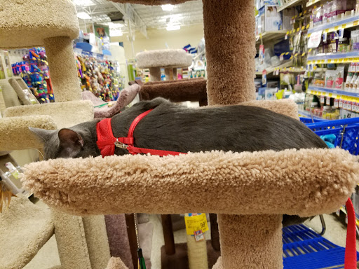 Pet Supply Store «PetSmart», reviews and photos, 4810 1st Ave NE, Cedar Rapids, IA 52402, USA