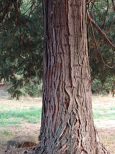 Winery «Helvetia Vineyards & Winery», reviews and photos, 23269 NW Yungen Rd, Hillsboro, OR 97124, USA