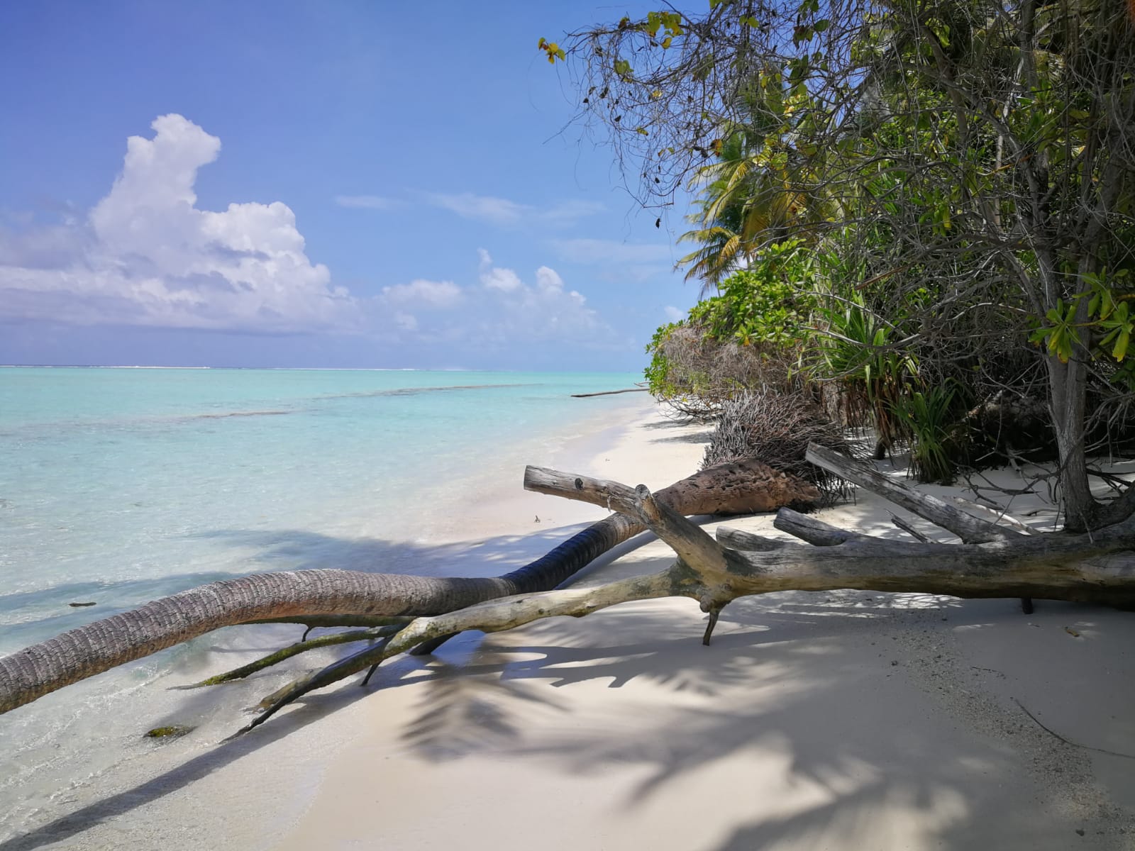 Keyodhoo Beach photo #9