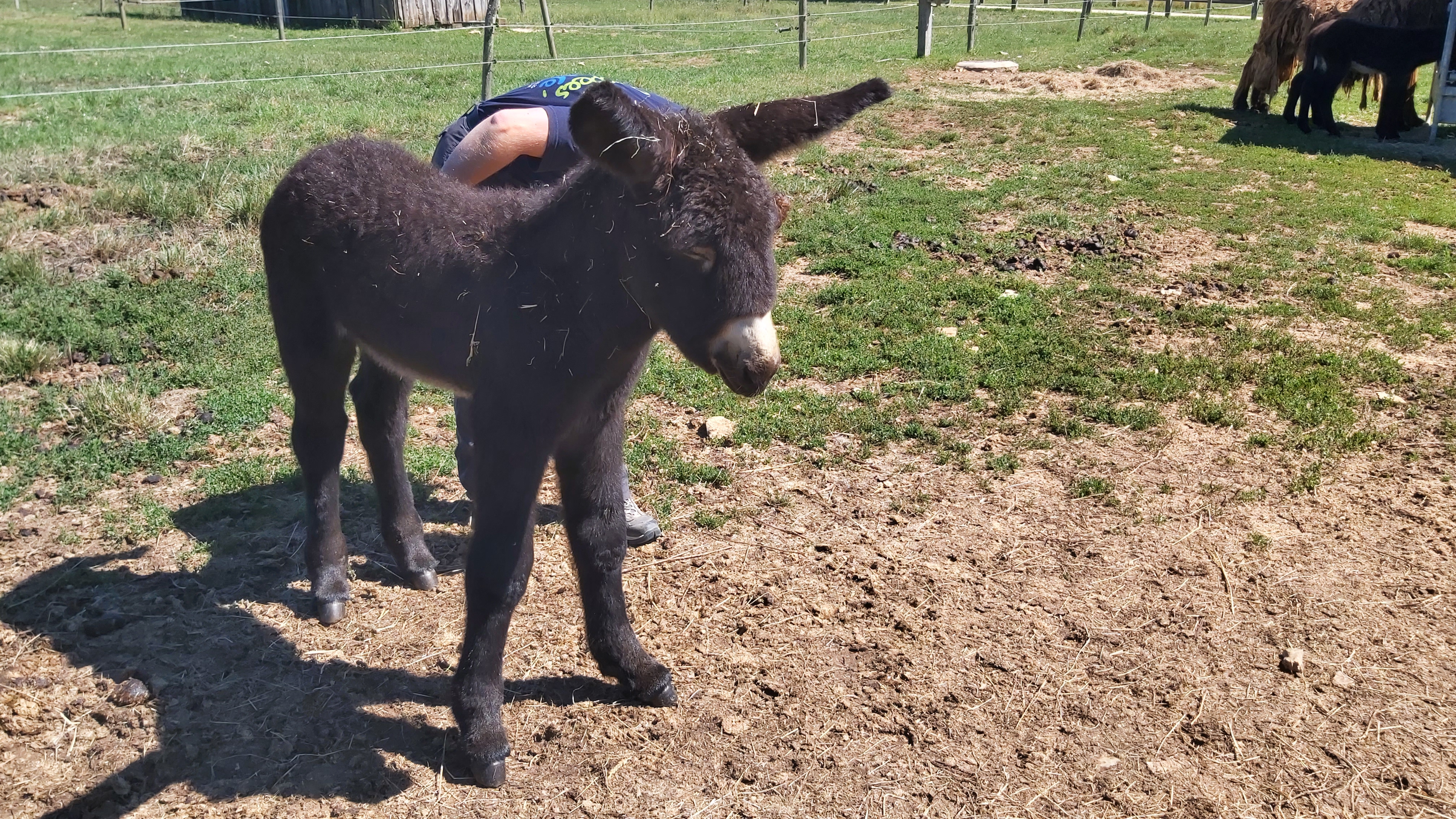 Photo n° 2 de l'avis de Christine.E fait le 02/07/2022 à 18:23