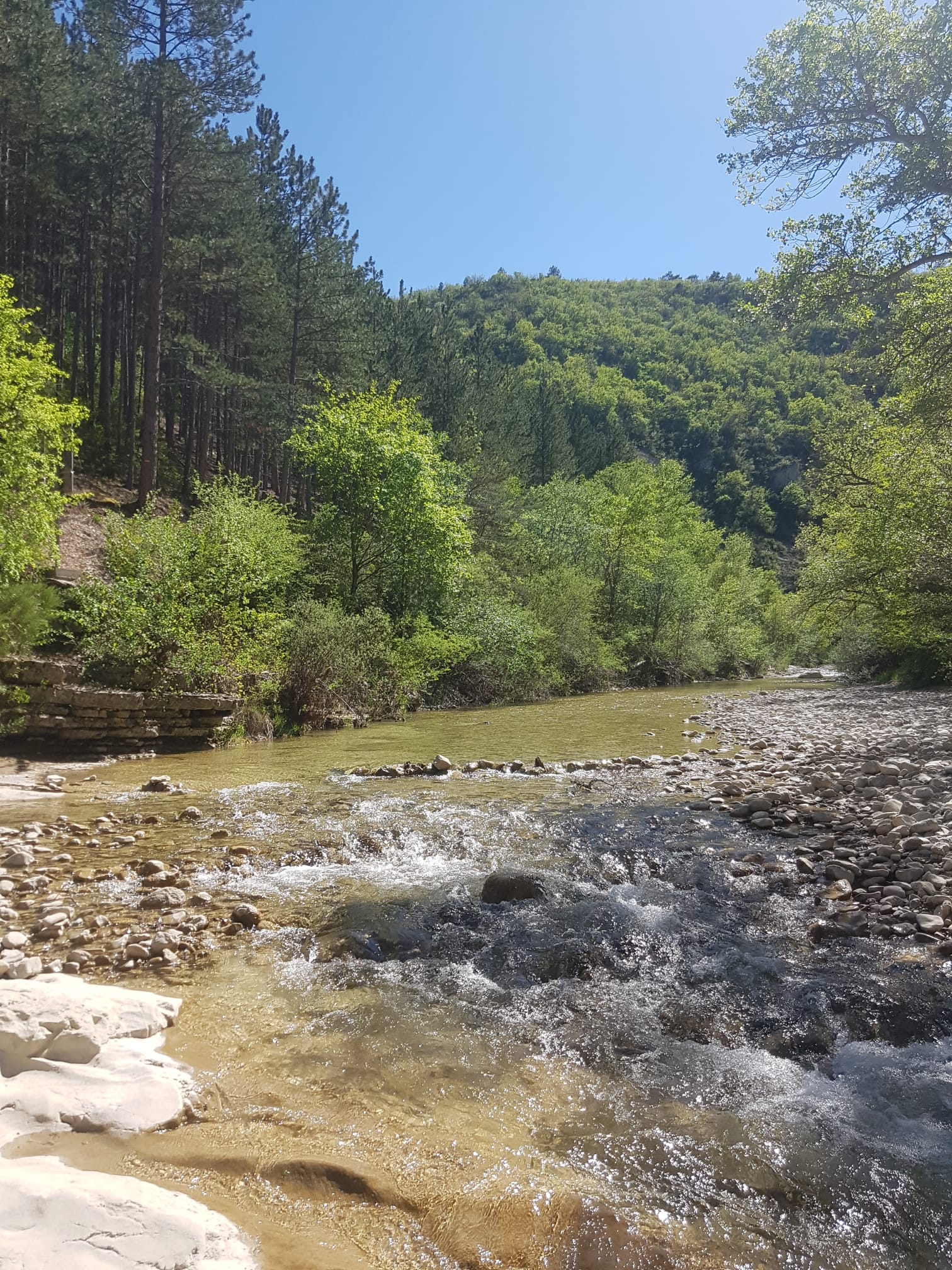Photo n° 2 de l'avis de Rêve.i fait le 21/05/2023 à 15:39