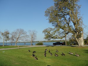 Legends on the Niagara Golf Course - photo 8