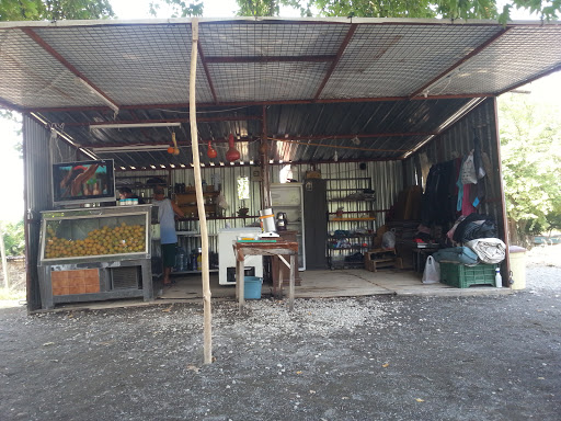 Çınar Altı Gözleme Nar Ve Portakal Suyu