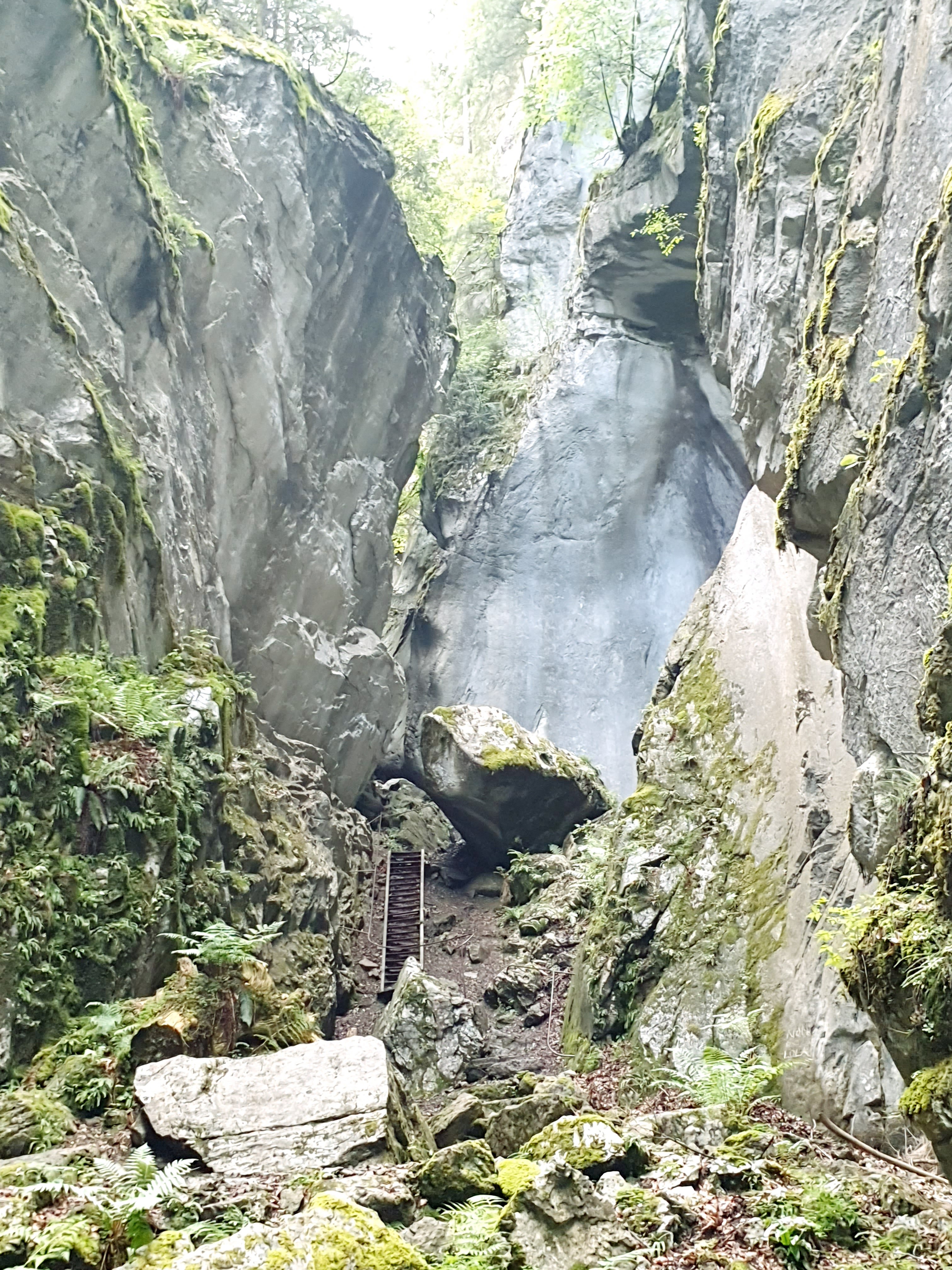 Photo n° 19 de l'avis de Gilles.H fait le 22/07/2020 à 15:28