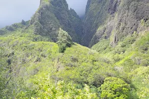 Puʻu Kukui image