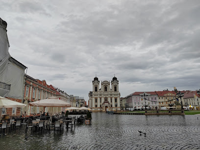 Timisoara
