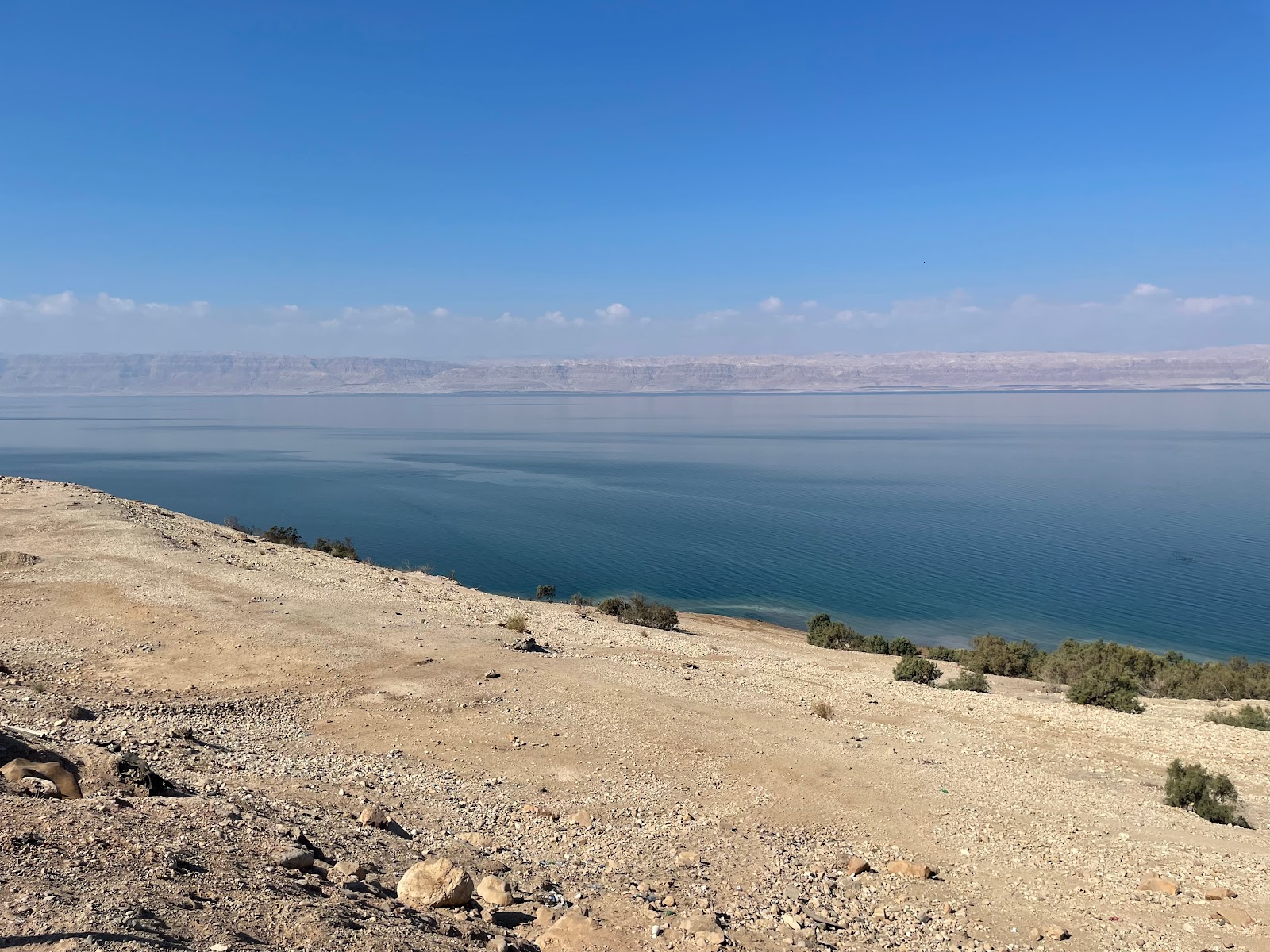 Foto von Free Beach On Dead Sea mit felsiges gelände Oberfläche