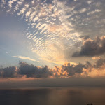 Photo n°1 de l'avis de Helena.o fait le 20/11/2022 à 11:09 sur le  Agriturismo Ai Tre Sentieri à Nabrežina