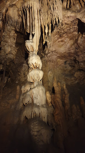 Opinii despre Herman Ottó Emlékház în Miskolc - Múzeum