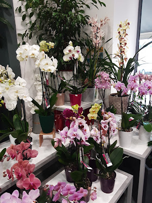 Art Floral à Feurs