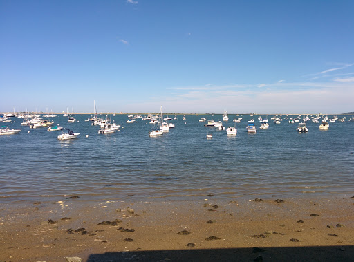 Insurance Company «Plymouth Rock Assurance», reviews and photos