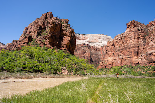 Big Bend Viewpoint