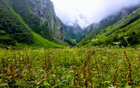 Nanda Devi National Park image