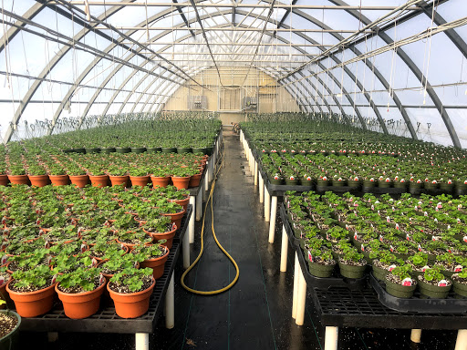 Florist «The Garden», reviews and photos, 155 Main St N, Woodbury, CT 06798, USA