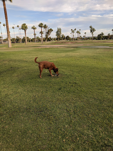 Golf Course «Encanto 9-Hole Golf Course», reviews and photos, 2300 N 17th Ave, Phoenix, AZ 85007, USA