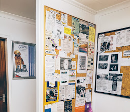 Horison Park Animal Clinic photo