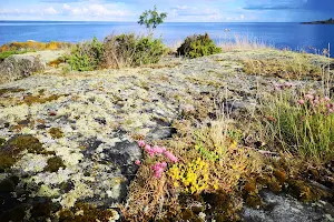 Kvädöfjärdens naturreservat image