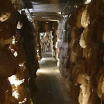 Photo n°21 de l'avis de Saro.u fait le 19/03/2023 à 16:32 sur le  Hosteria del Maiale à Polesine Parmense