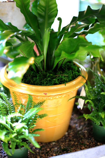 Garden «fleurdetroit (bloomfield hills)», reviews and photos, 1507 S Telegraph Rd, Bloomfield Hills, MI 48302, USA