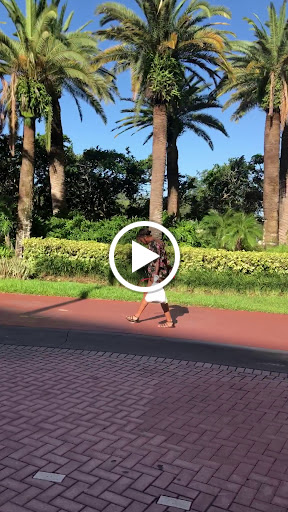 Hotel «The Florida Hotel & Conference Center», reviews and photos, 1500 Sand Lake Rd, Orlando, FL 32809, USA