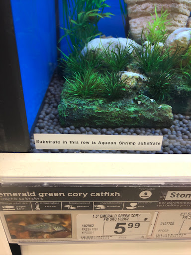 Book Store «Barnes & Noble», reviews and photos, 19401 Alderwood Mall Pkwy, Lynnwood, WA 98036, USA