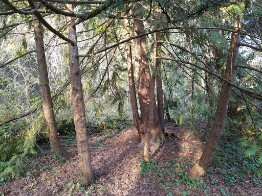 Park «U J Hamby Park», reviews and photos, 1035 NE Jackson School Rd, Hillsboro, OR 97124, USA