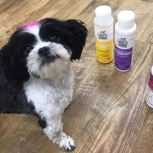 Pet Supply Store «Animal House Grooming & Quality», reviews and photos, 229 W Absecon Blvd, Absecon, NJ 08201, USA