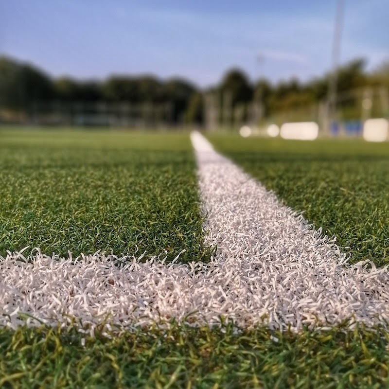 Trägerverein Flensburg Stadion e.V.