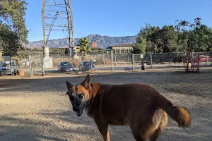 Griffith Park Dog Park image