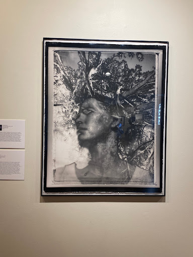 Art Museum «Wiregrass Museum of Art», reviews and photos, 126 Museum Ave, Dothan, AL 36303, USA