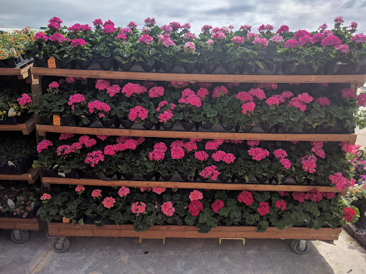 Grocery Store «Stringtown Grocery», reviews and photos, 2208 540th St SW, Kalona, IA 52247, USA