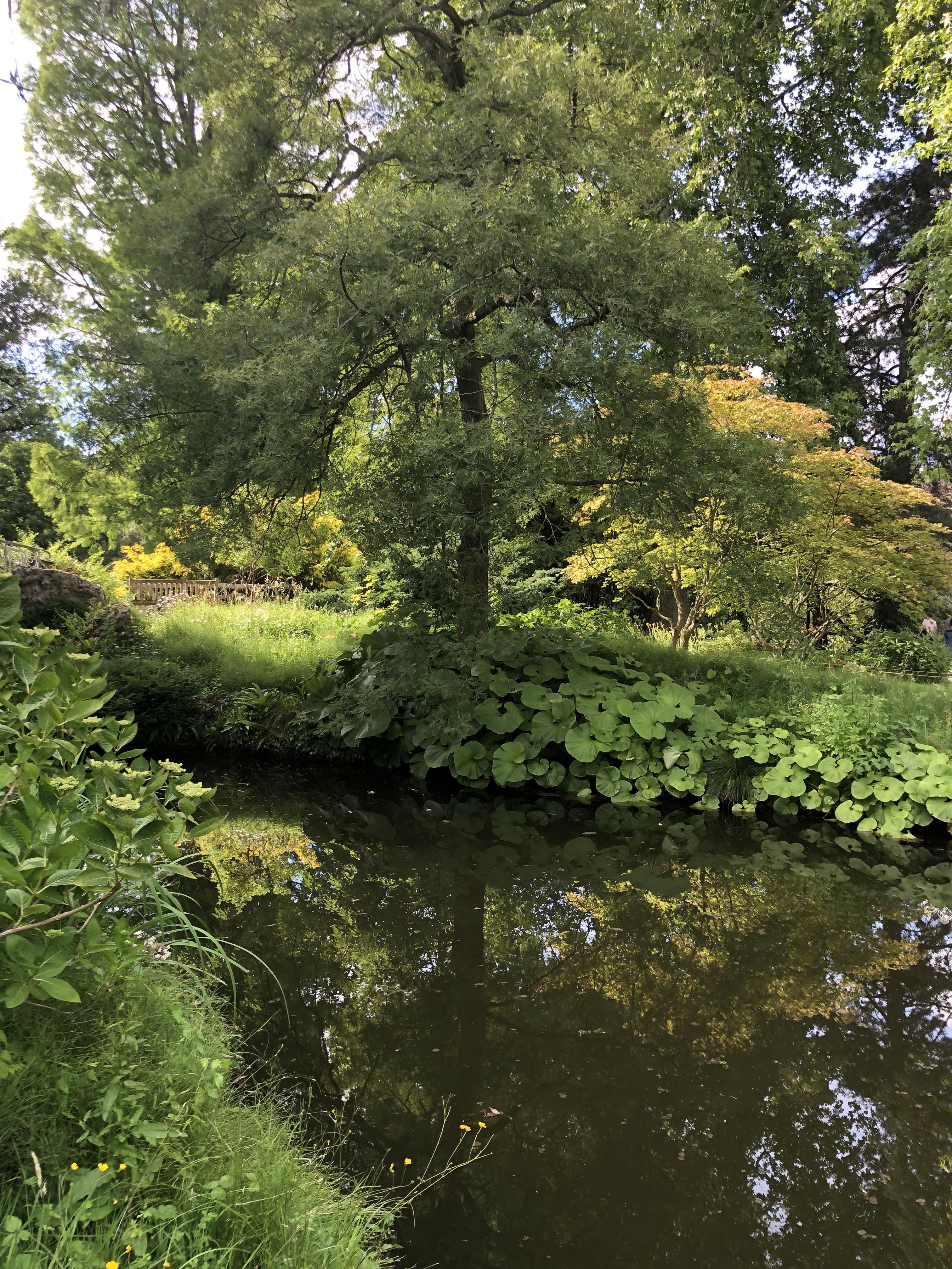 Photo n° 20 de l'avis de Denis.u fait le 18/06/2019 à 20:16