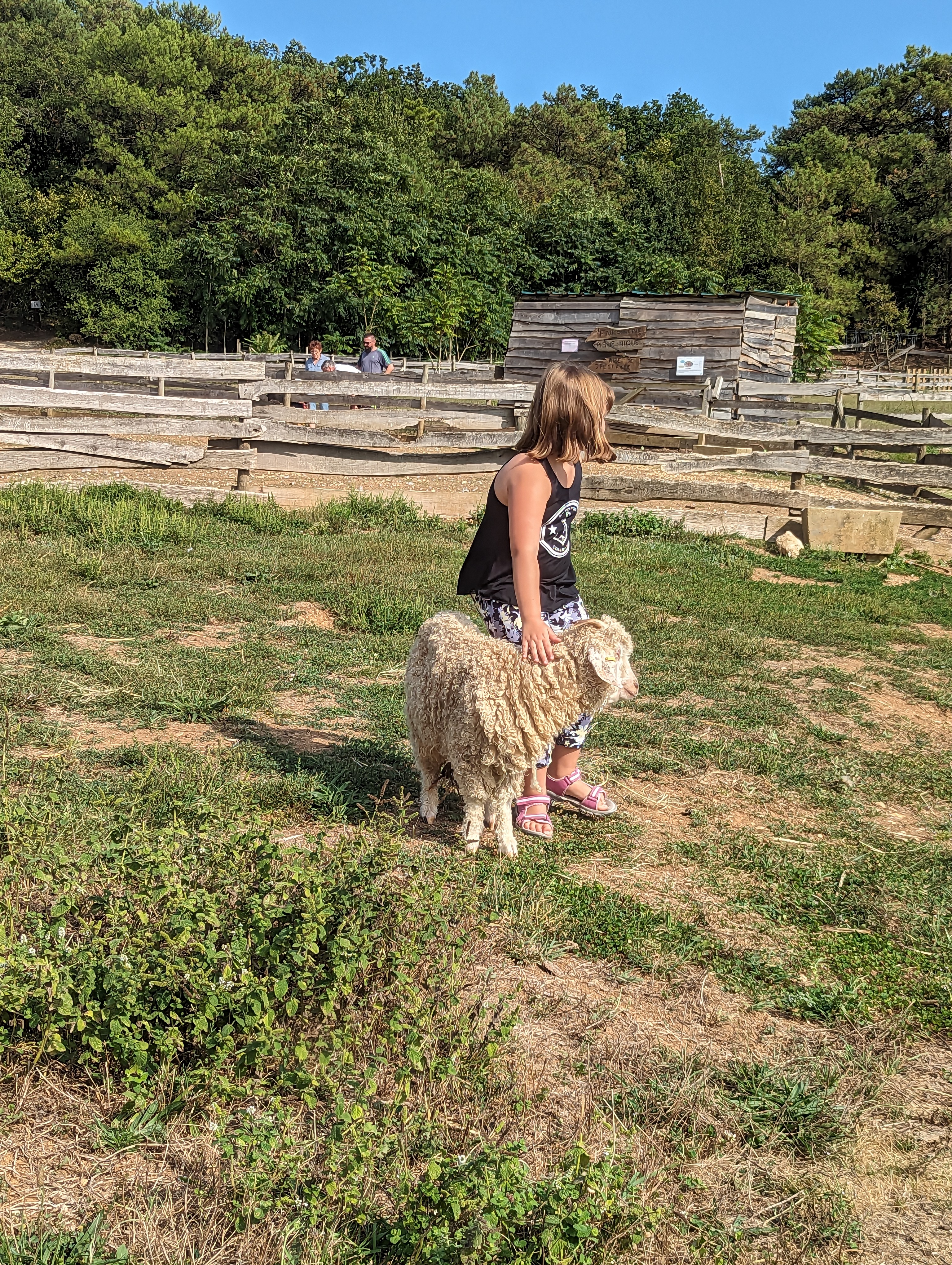 Photo n° 1 de l'avis de Laurie.a fait le 01/09/2023 à 13:19