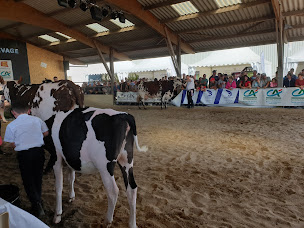 Photo n°17 de Foire Sainte Croix de Lessay à Lessay ()