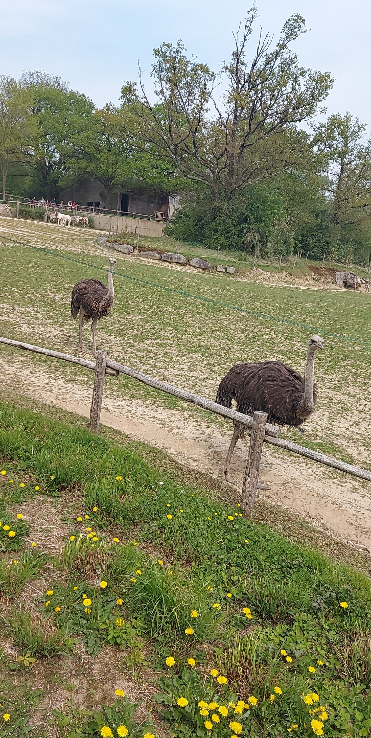 Photo n° 23 de l'avis de Mél.i fait le 21/04/2022 à 16:37