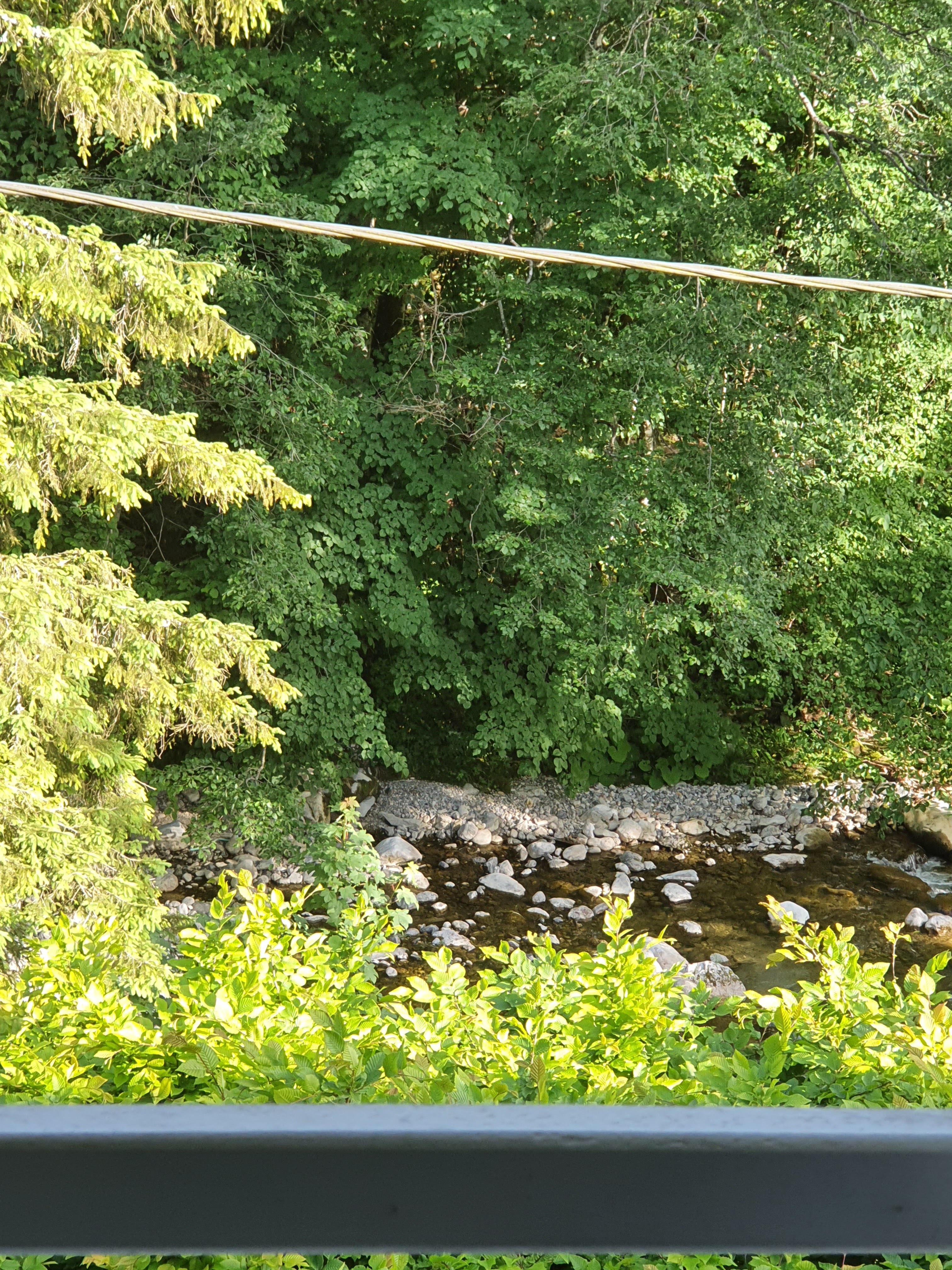 Photo n° 2 de l'avis de Michel.o fait le 05/06/2022 à 16:48