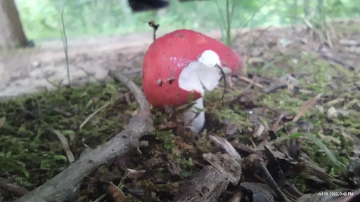 Park «Harrods Creek Park», reviews and photos, 6530 Montero Dr, Prospect, KY 40059, USA