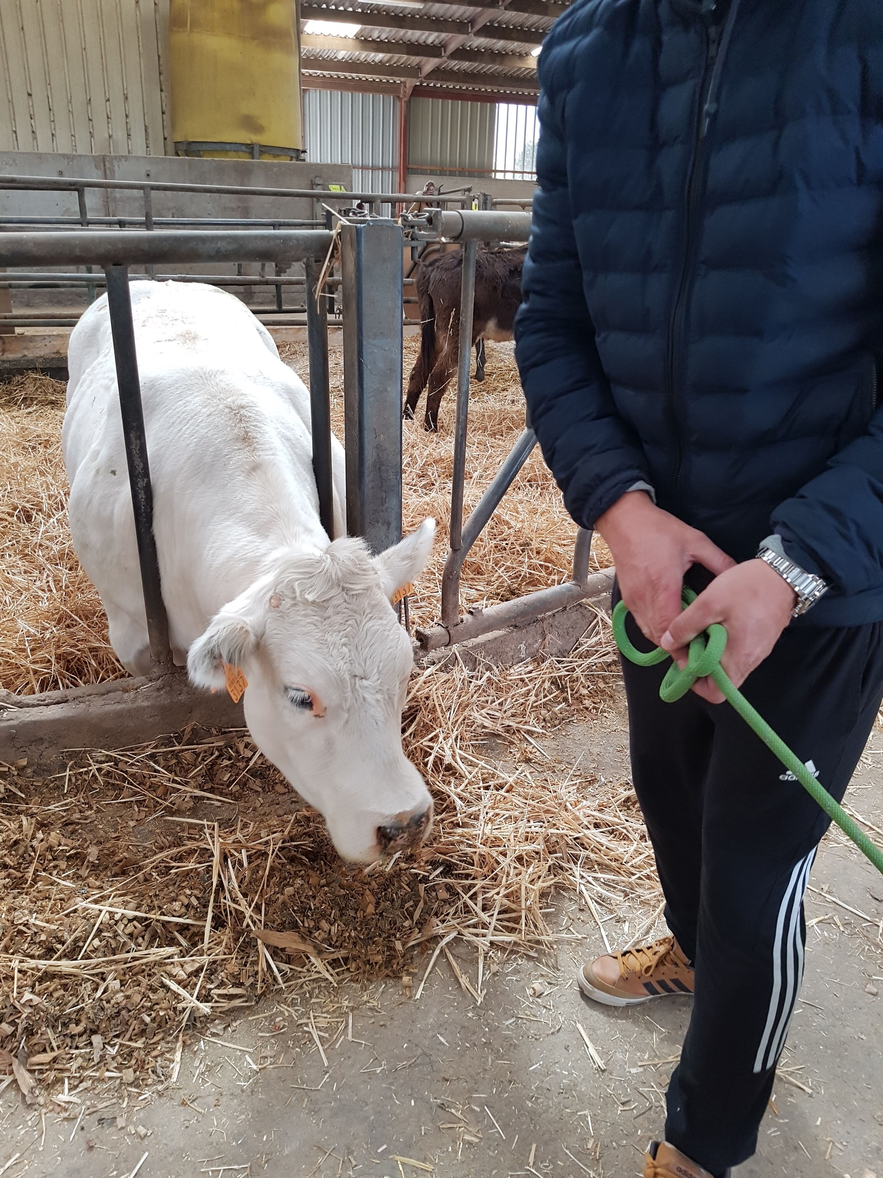 Photo n° 12 de l'avis de Alicia.P fait le 28/04/2019 à 13:27