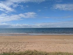 Queens Beach'in fotoğrafı vahşi alan